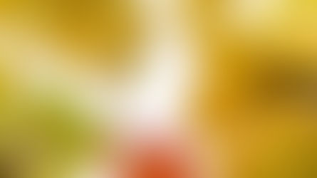 Oubaitori : vivre heureux sans se comparer aux autres