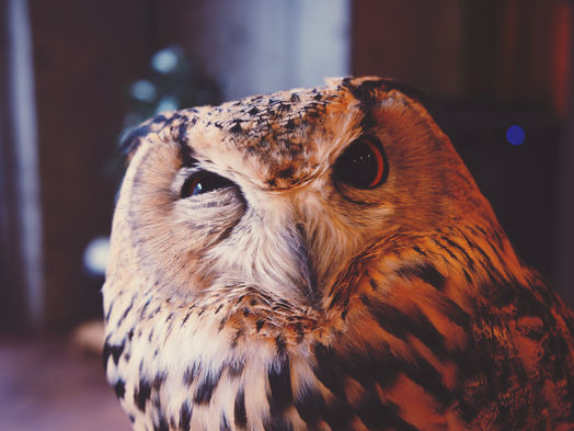 What exactly do you do?: A graphic designer job description