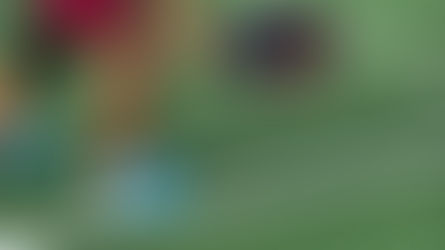 Play Pickleball at Bower Hill