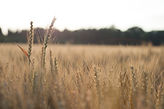 Image by Tobias Giess
