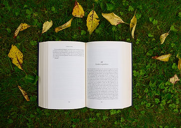 Image by Annelies Geneyn