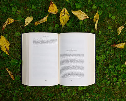 Image by Annelies Geneyn