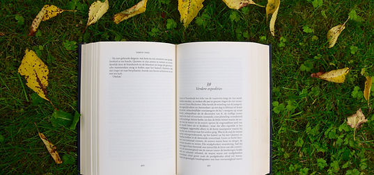 Image by Annelies Geneyn
