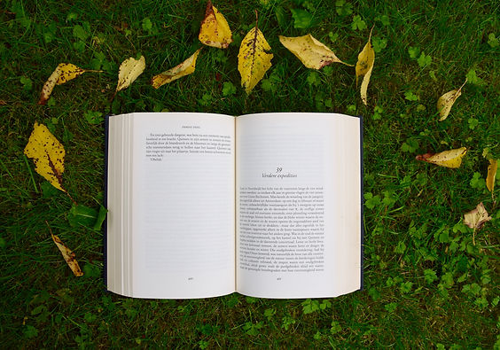 Image by Annelies Geneyn