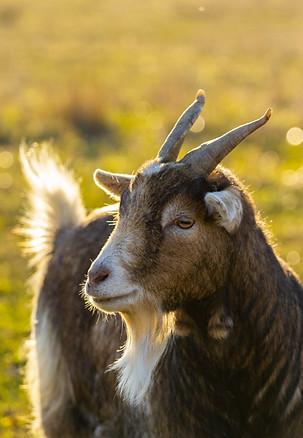 Image by Maxime Agnelli