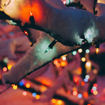 CHRISTMAS TREE LIGHTING