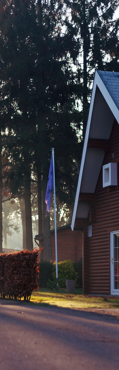 Image by Rowan Heuvel