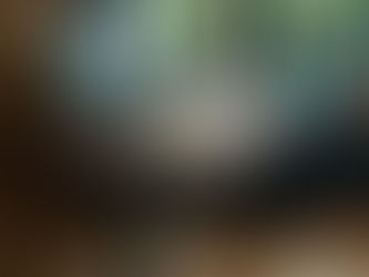 Modern office with wooden desk, ergonomic chair, computer monitors, plants, bookshelves, and large window view. Calm and organized vibe.