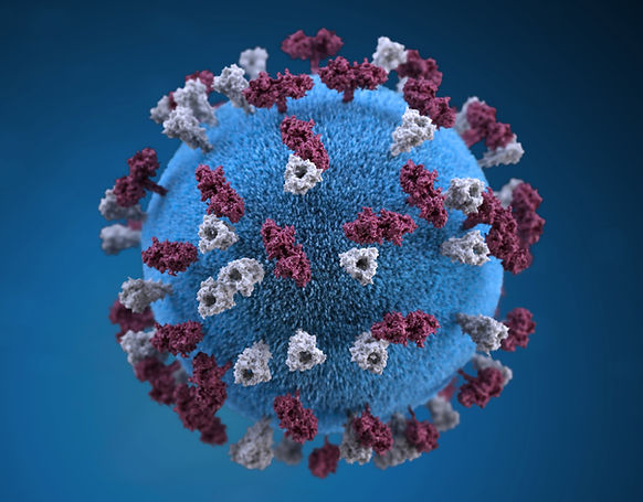 Image by CDC