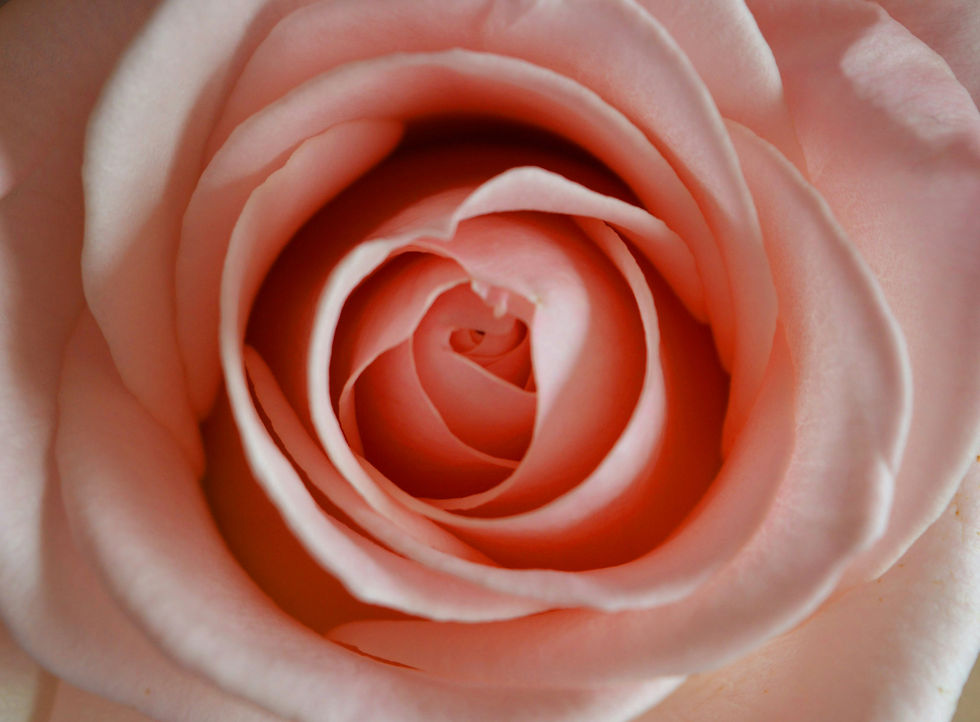Image by Maria Nikolova