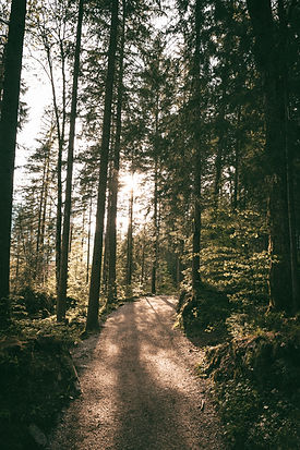 Image by Stephan Mahlke