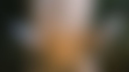 From The Garden Bench - Listening