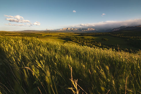 Image by Ryan Stone