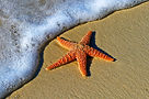 Image by Pedro Lastra