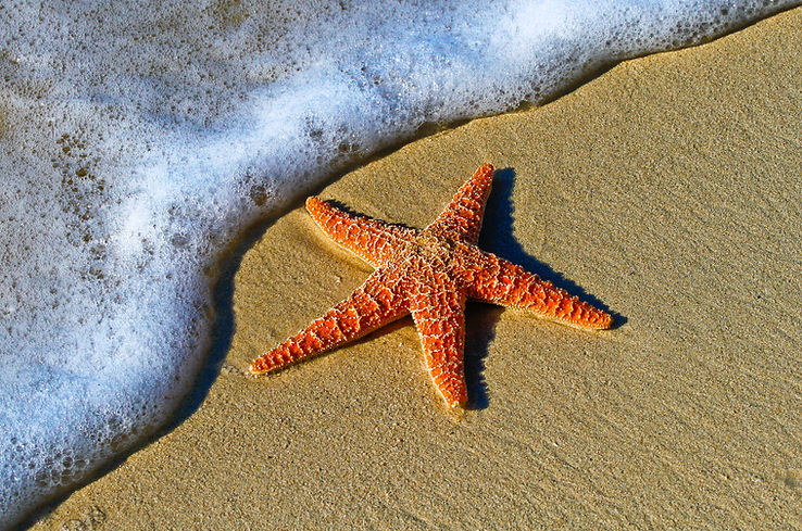 Image by Pedro Lastra