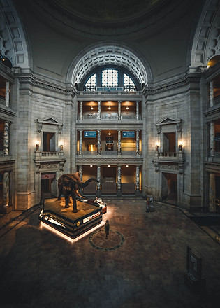 Image by Roberto Nickson