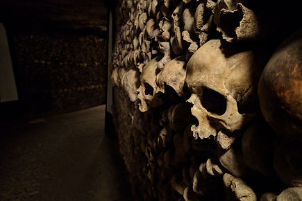 Image by Scot Goodhart