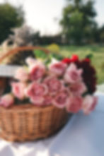 Image by Brigitte Tohm