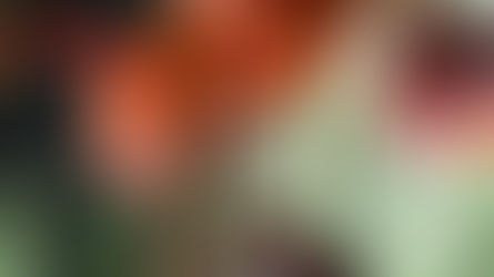 Keep going...awkwardly