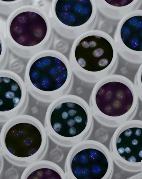 Image by National Cancer Institute