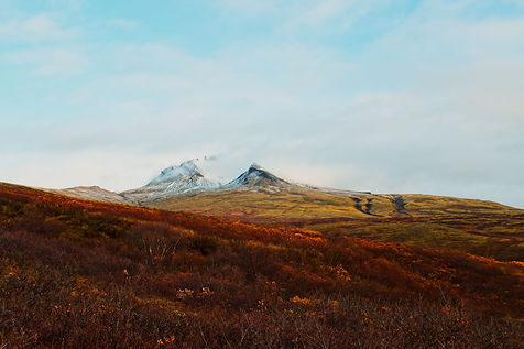 Image de Tim Nieland