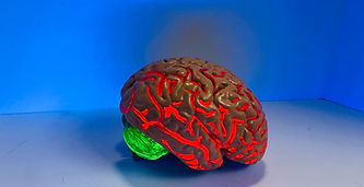 Election Got You Down? Try This Brain Hack for Better Perspective