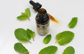 Consultation en Naturopathie avec Magali Fayet