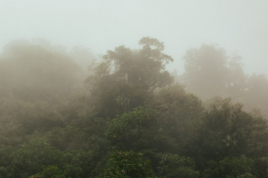 Image by Ýlona María Rybka