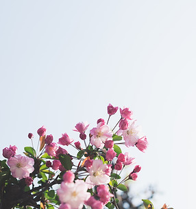 Image by Masaaki Komori
