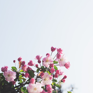 Image by Masaaki Komori