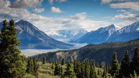 Q&A: Dr. Anne Friedlander on High Altitude Exposure and Training