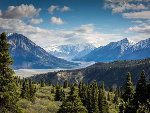 Image by Kalen Emsley