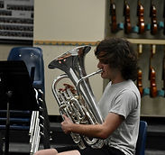 Image by Sophia Wolfson