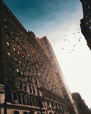 Image by Aidan Murphy