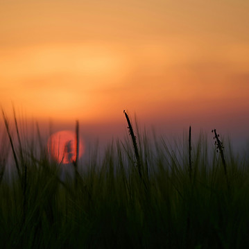 Image by Wolfgang Hasselmann