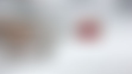 January 2026 Newsletter