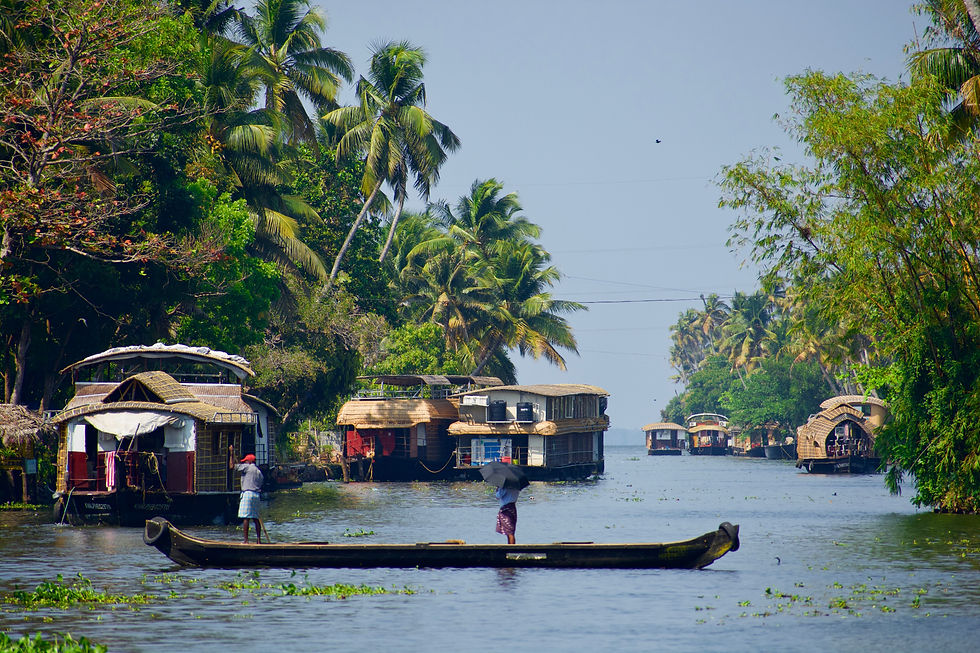 Paysage serein des backwaters avec des houseboats traditionnels bordant les rives verdoyantes, sous un ciel paisible.