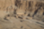 Hatshepsut