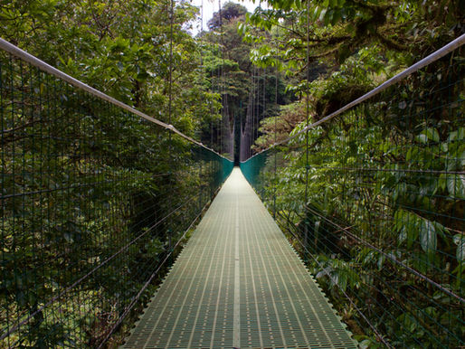 Caminhada suspensa na Reserva Biológica Bosque Nuboso, em Monteverde, recomendada pela MyNTravel para os amantes da biodiversidade e da natureza