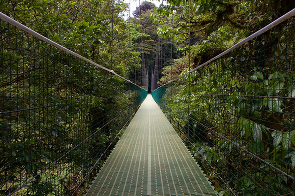 Image de Leslie Cross