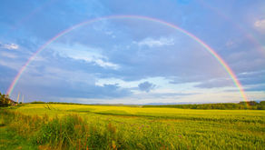 EOY 2020: A Cloudy Year With A Rainbow At The End…No Thanks To The U.S. Media