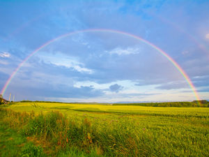 After the Flood -- a fresh start in Genesis 8-9