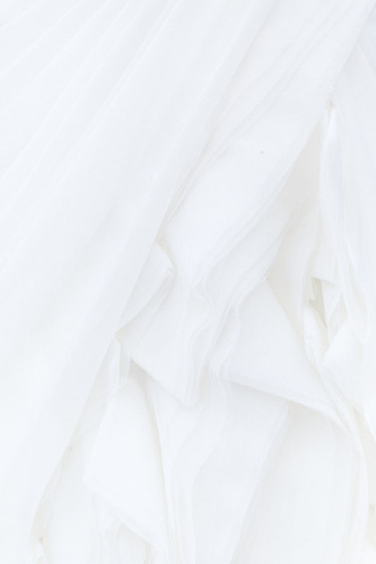 Image by Alyssa Hurley