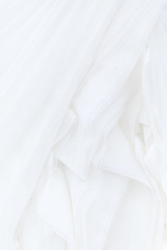 Image by Alyssa Hurley
