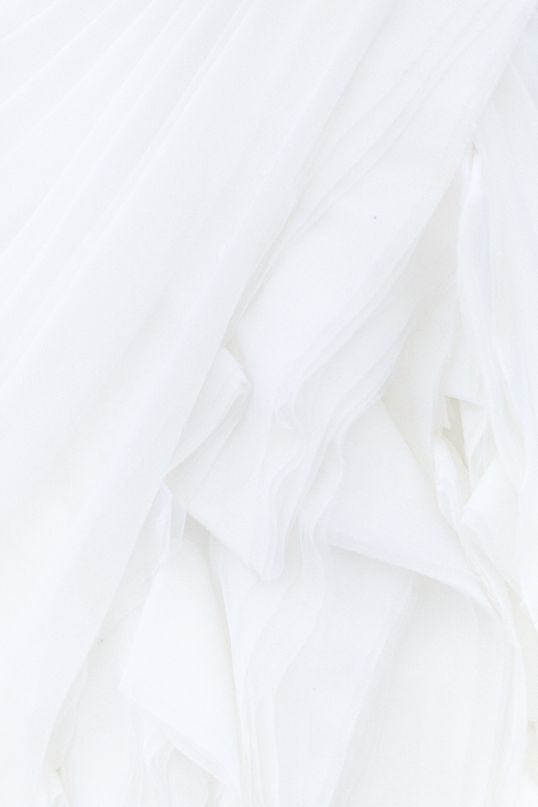 Image by Alyssa Hurley