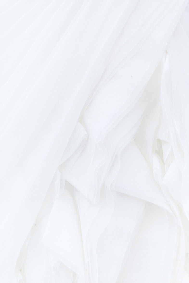 Image by Alyssa Hurley