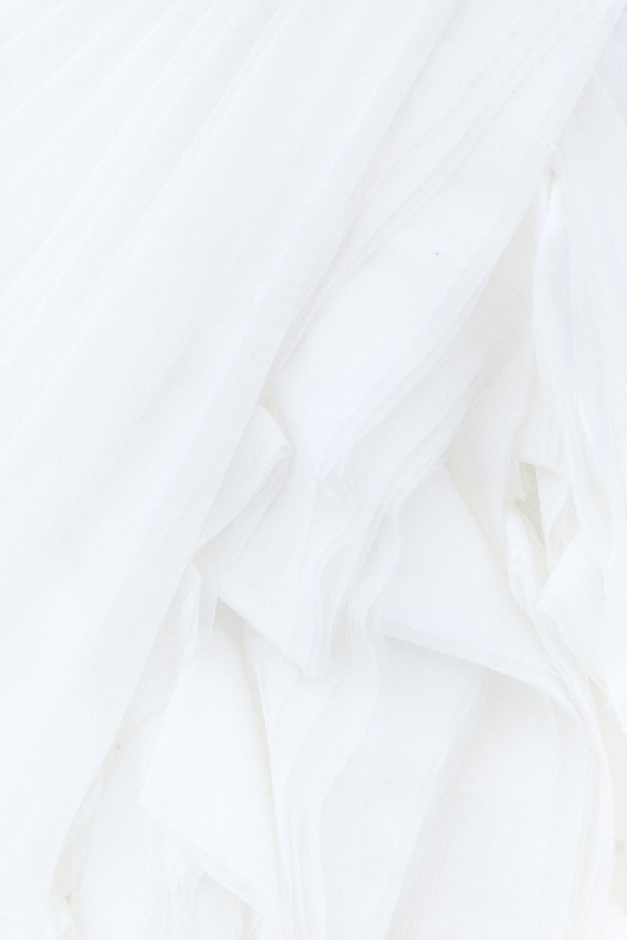 Image by Alyssa Hurley