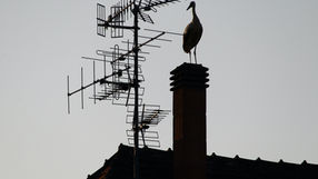 Riorganizzazione delle frequenze Tv: il Tirreno interessato da domani 27 aprile