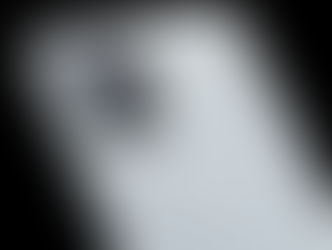 L2 MOBILE TECHNOLOGIES REACHES SETTLEMENT WITH ONEPLUS