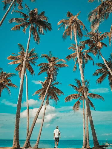 Image by Ildi Bibo